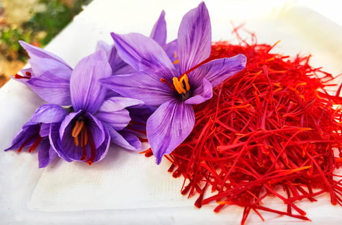 قیمت خرید زعفران سوپر نگین با فروش عمده